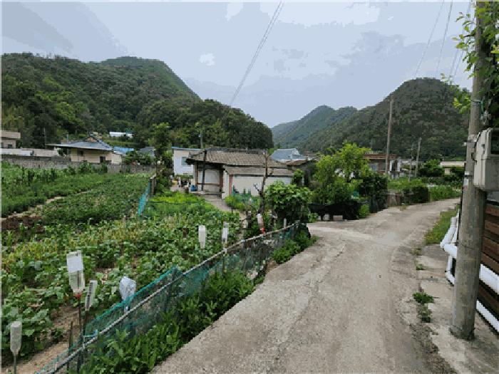 경상북도 경주시 양남면 나산리 593 주택 경매 사진 6