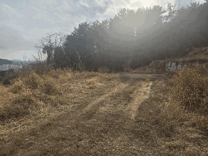 경상남도 김해시 내동 991 답 경매 사진 1