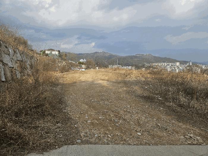 경상남도 김해시 내동 991 답 경매 사진 2
