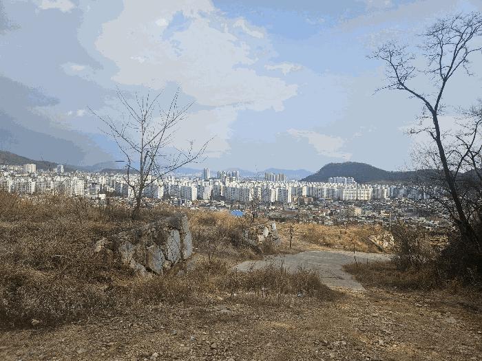경상남도 김해시 내동 991 답 경매 사진 3