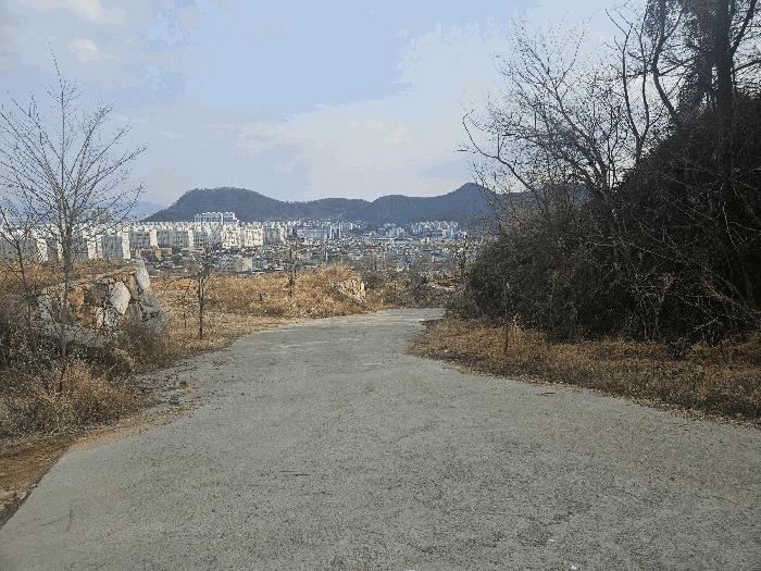 경상남도 김해시 내동 991 답 경매 사진 5