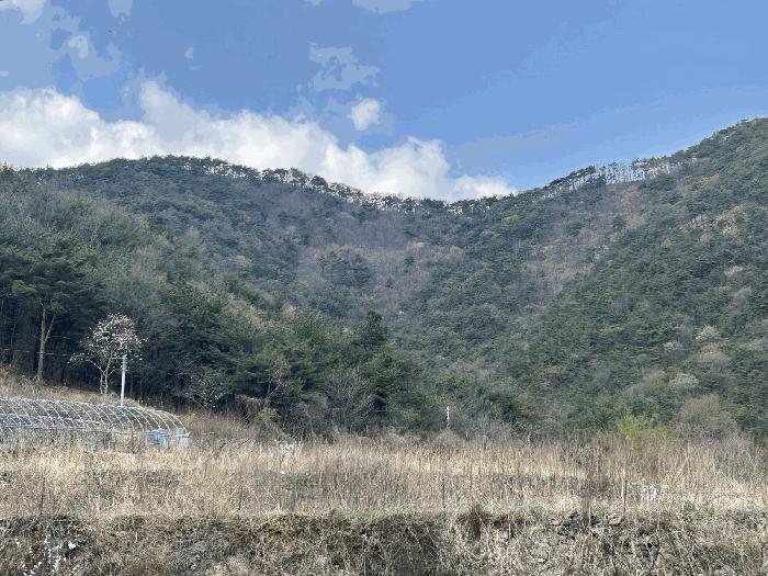 경상남도 김해시 상동면 우계리 산61 임야 경매 사진 1