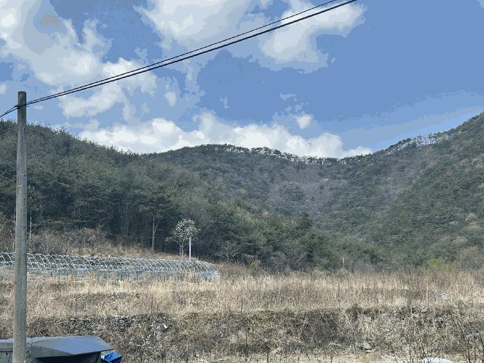 경상남도 김해시 상동면 우계리 산61 임야 경매 사진 2