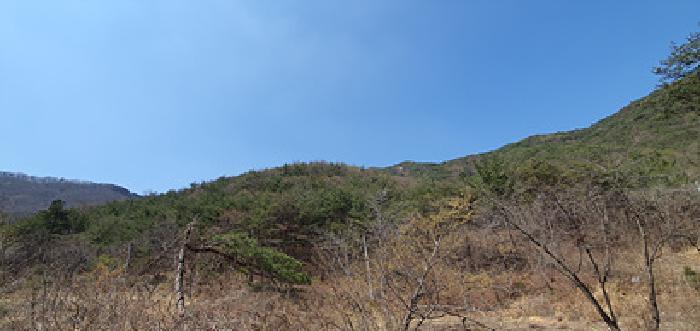 경상남도 김해시 상동면 우계리 산61 임야 경매 사진 3