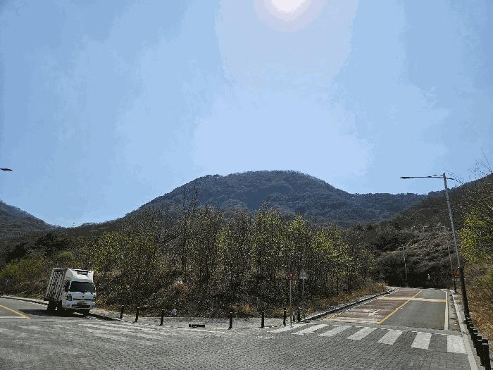 경상남도 창원시 의창구 북면 감계리 289 대지 경매 사진 4
