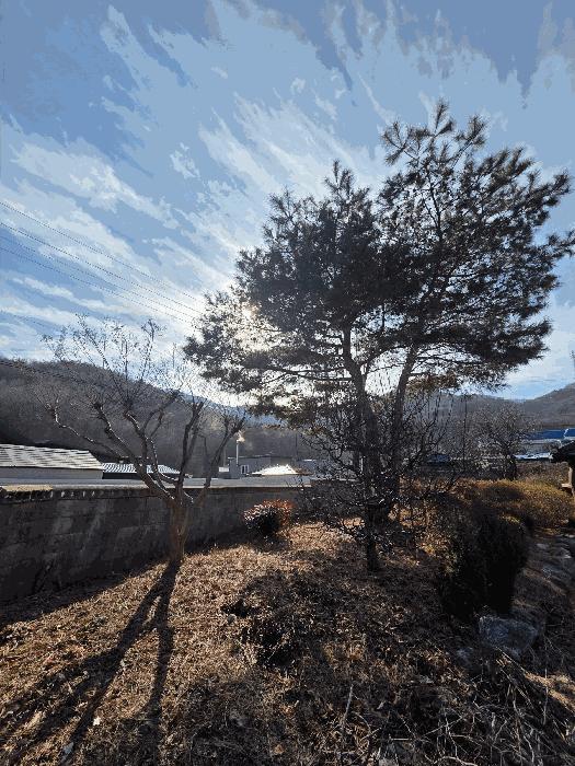 충청남도 아산시 배방읍 공수리 433 주택 경매 사진 5
