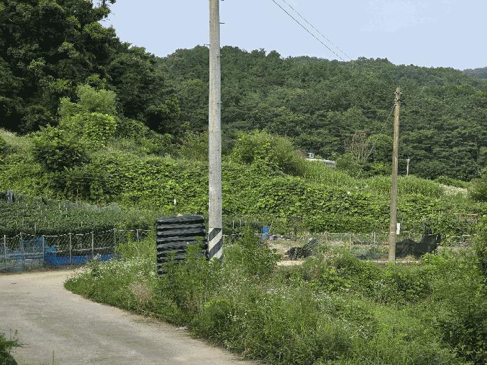 충청남도 천안시 동남구 동면 죽계리 산60-4 임야 경매 사진 2