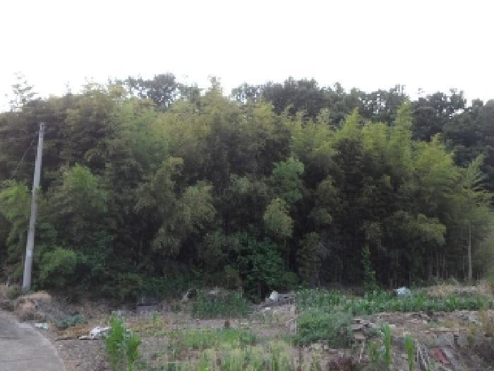 대구광역시 달성군 현풍읍 오산리 961 대지 경매 사진 5