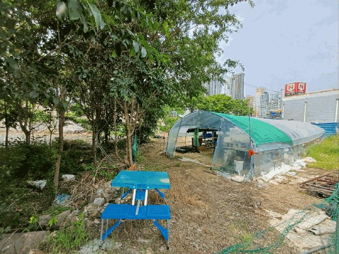 대구광역시 달성군 다사읍 매곡리 693-2 유지 경매 사진 1