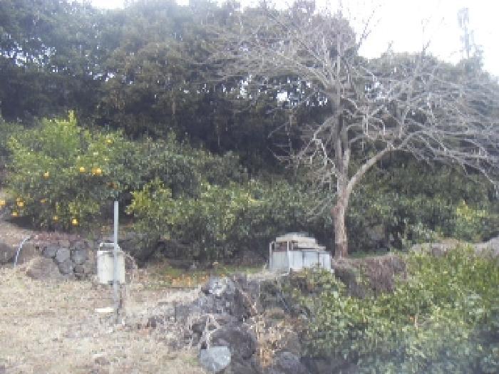 제주특별자치도 서귀포시 예래로102번길 62 근린시설 경매 사진 20