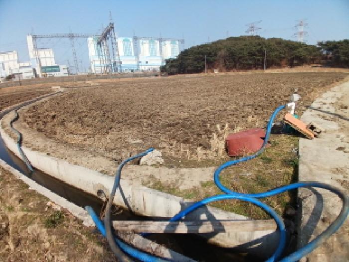 충청남도 당진시 석문면 교로리 967 답 경매 사진 5