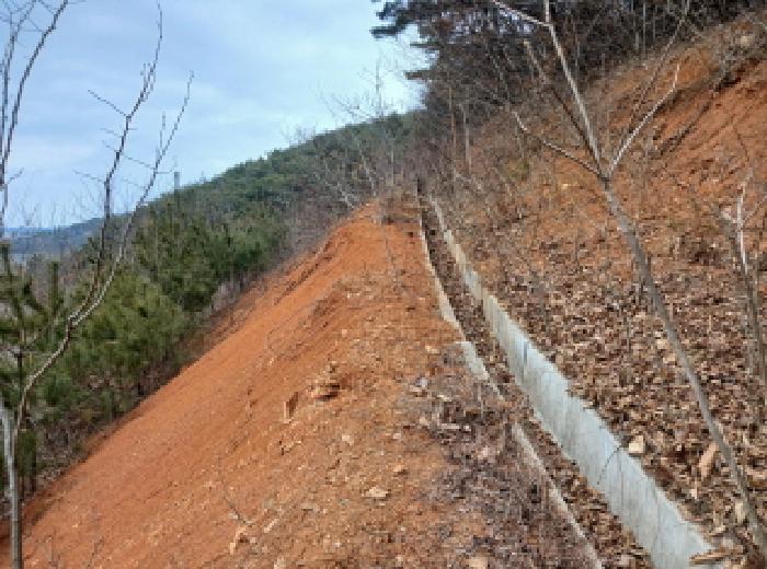 충청남도 당진시 고대면 진관리 1241-3 임야 경매 사진 18