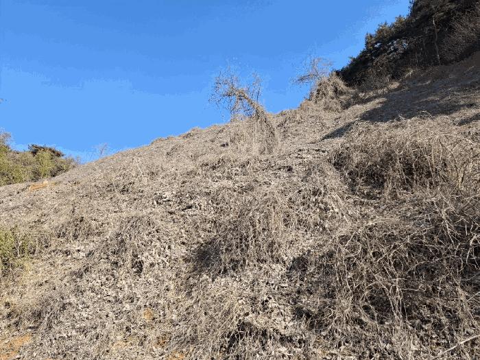 충청남도 당진시 고대면 진관리 1241-3 임야 경매 사진 5