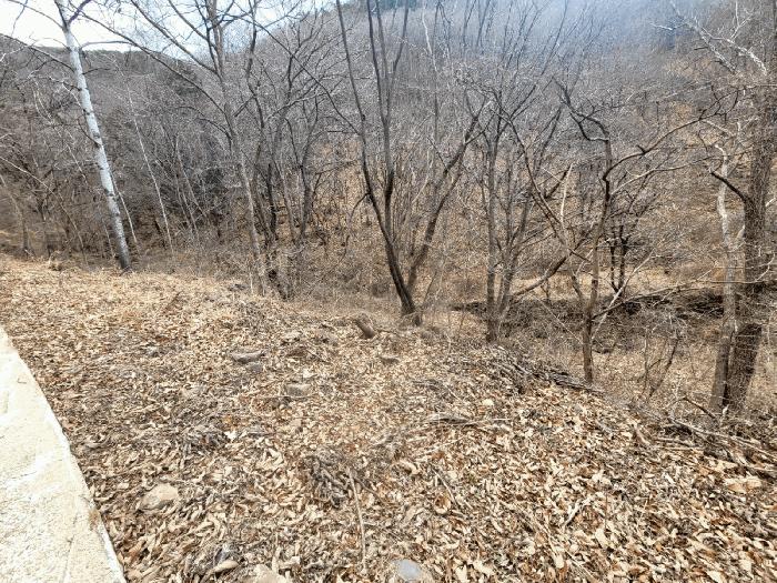 경상남도 양산시 원동면 원리 산118 임야 경매 사진 5