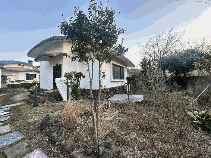 제주특별자치도 제주시 조천읍 선흘리 1925-2 선흘황토마을다세대주택 제나동 1층107호 펜션(캠핑장) 경매 사진 5