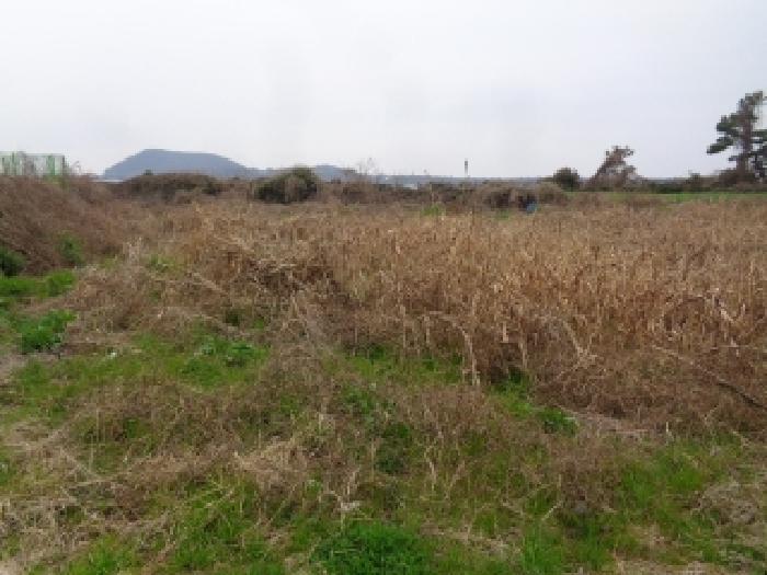 제주특별자치도 제주시 한경면 조수리 771-3 임야 경매 사진 8