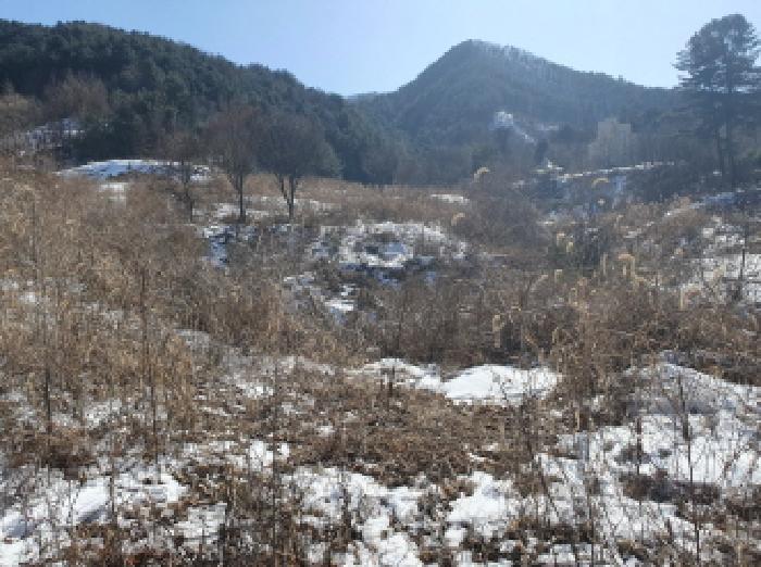 경기도 가평군 북면 목동리 686-1 대지 경매 사진 10