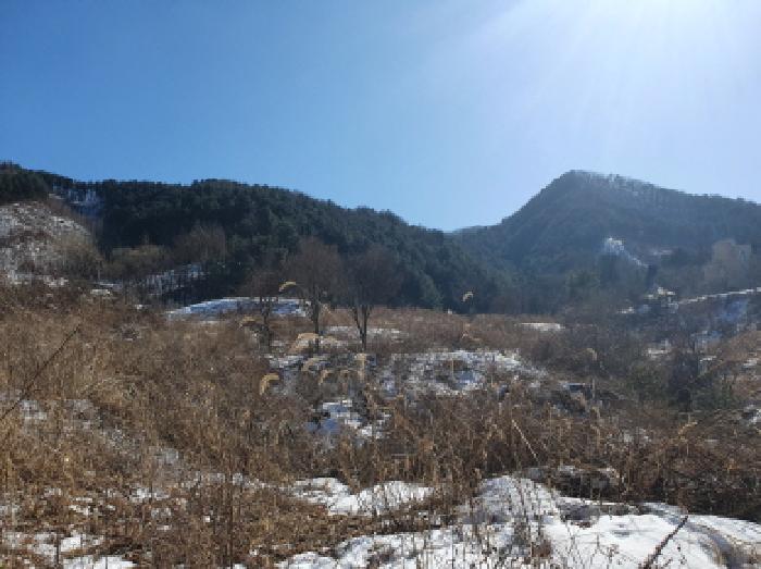 경기도 가평군 북면 목동리 686-1 대지 경매 사진 11