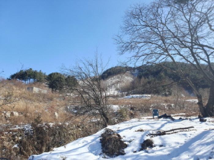 경기도 가평군 북면 목동리 686-1 대지 경매 사진 12
