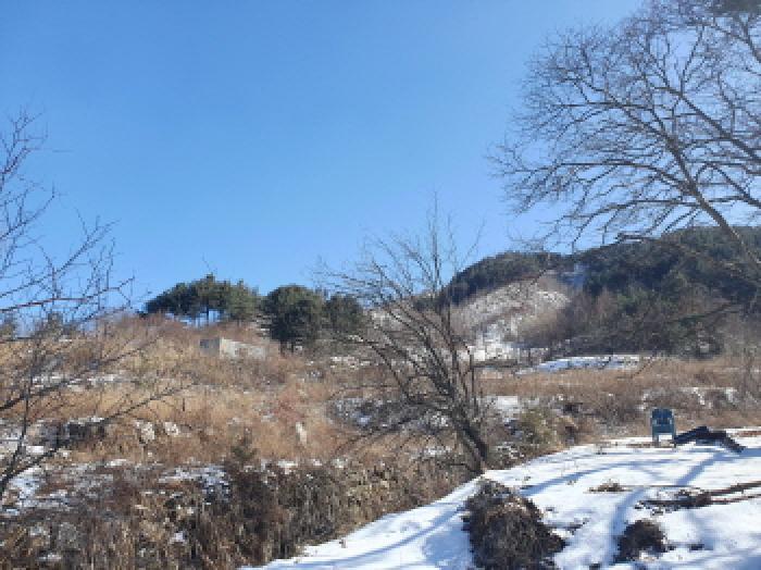 경기도 가평군 북면 목동리 686-1 대지 경매 사진 13