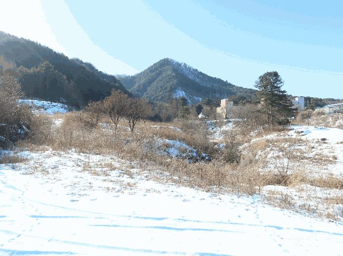 경기도 가평군 북면 목동리 686-1 대지 경매 사진 3