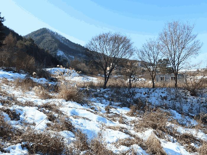 경기도 가평군 북면 목동리 686-1 대지 경매 사진 4