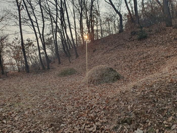 경기도 화성시 봉담읍 상기리 산167 임야 경매 사진 14