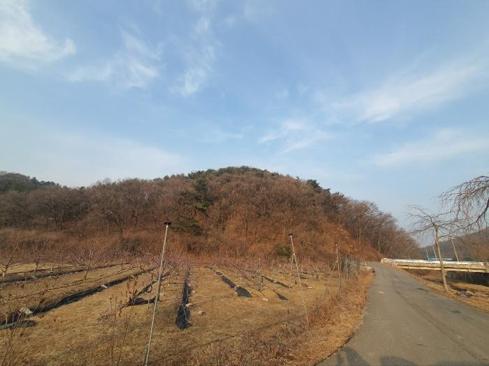 경기도 화성시 봉담읍 상기리 산167 임야 경매 사진 16