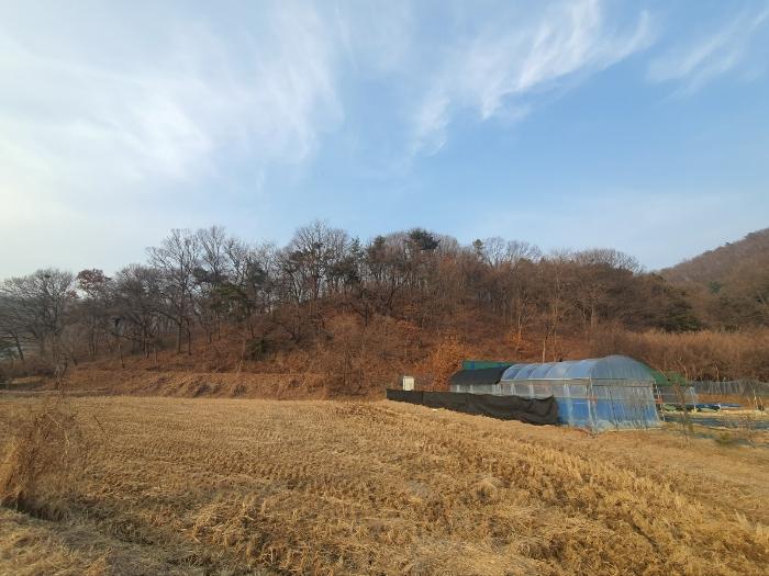 경기도 화성시 봉담읍 상기리 산167 임야 경매 사진 17