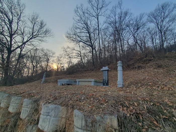 경기도 화성시 봉담읍 상기리 산167 임야 경매 사진 3