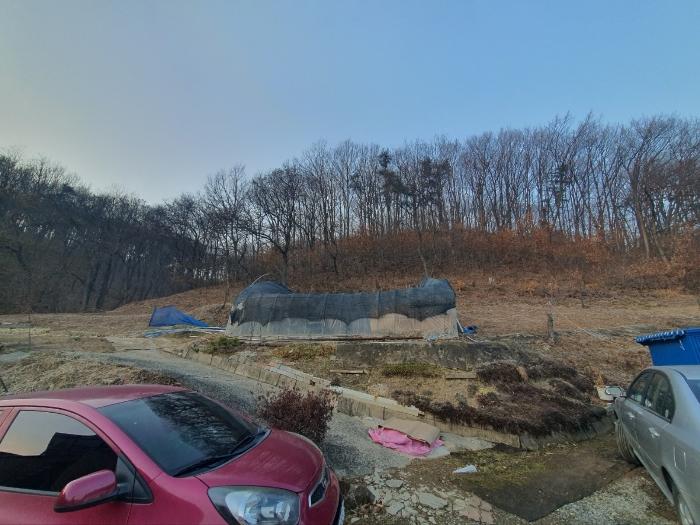 경기도 화성시 봉담읍 상기리 산167 임야 경매 사진 4