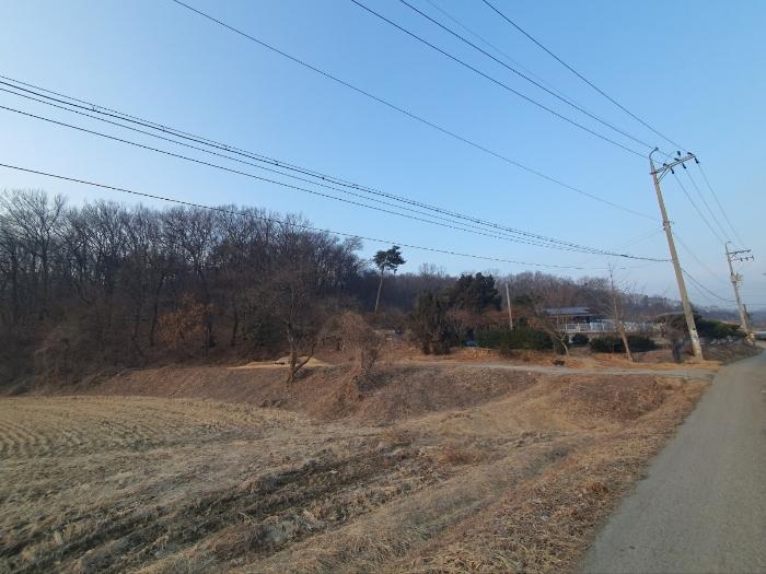경기도 화성시 봉담읍 상기리 산167 임야 경매 사진 6
