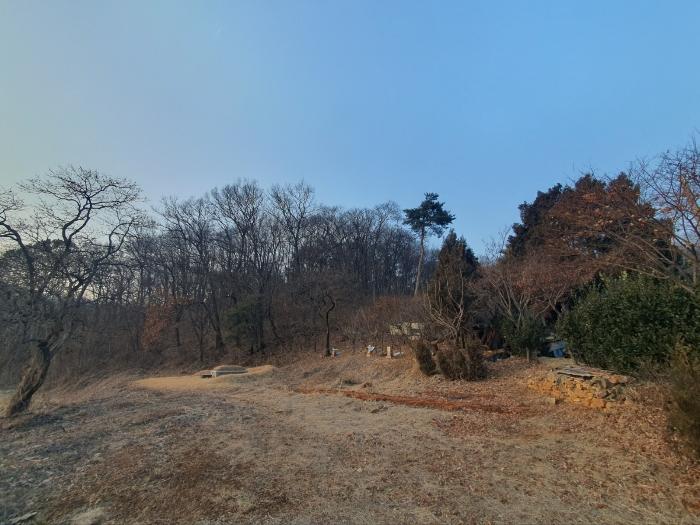 경기도 화성시 봉담읍 상기리 산167 임야 경매 사진 8