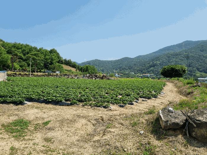 충청남도 금산군 답