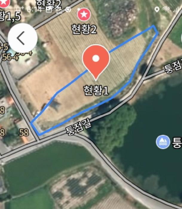 충청남도 금산군 군북면 동편리 156 답 경매 사진 10