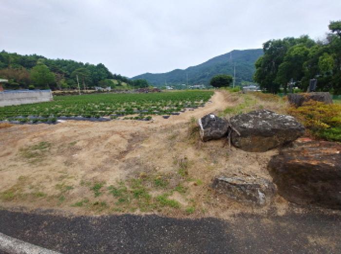 충청남도 금산군 군북면 동편리 156 답 경매 사진 16