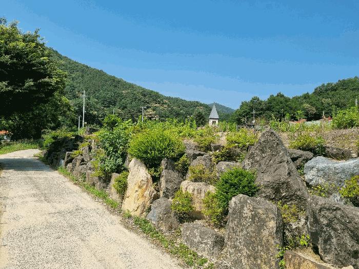 충청남도 금산군 군북면 동편리 156 답 경매 사진 6
