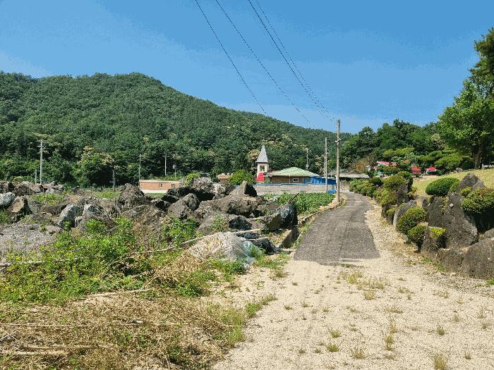 충청남도 금산군 군북면 동편리 156 답 경매 사진 7