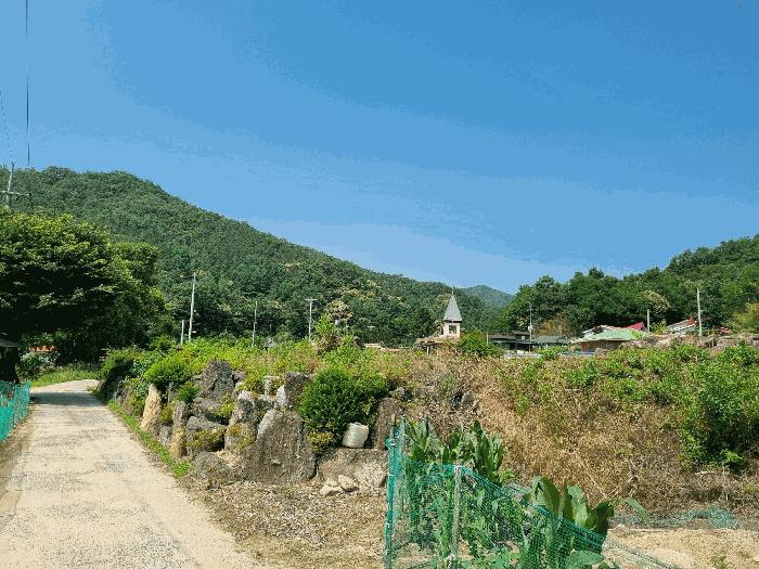 충청남도 금산군 군북면 동편리 156 답 경매 사진 8