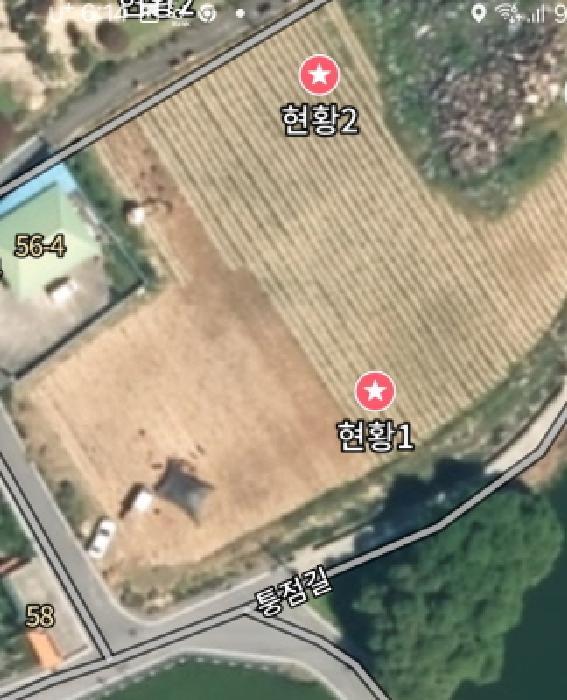 충청남도 금산군 군북면 동편리 156 답 경매 사진 9