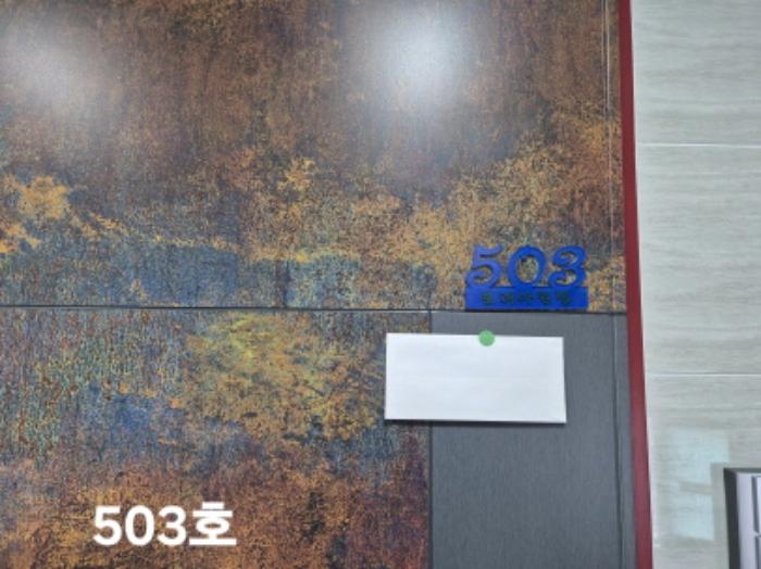 부산광역시 북구 시랑로35번길 21, 5층503호 (구포동,보리아트빌)구) 부산광역시 북구 구포동 1210-8 다세대(빌라) 경매 사진 39