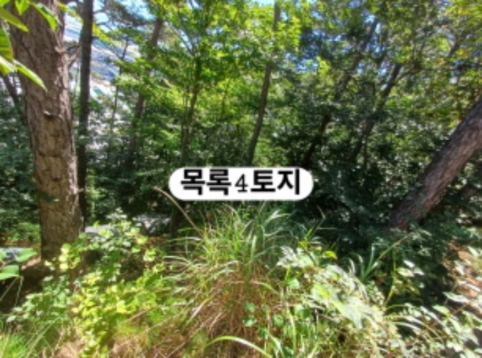 부산광역시 강서구 생곡동 산112 임야 경매 사진 13