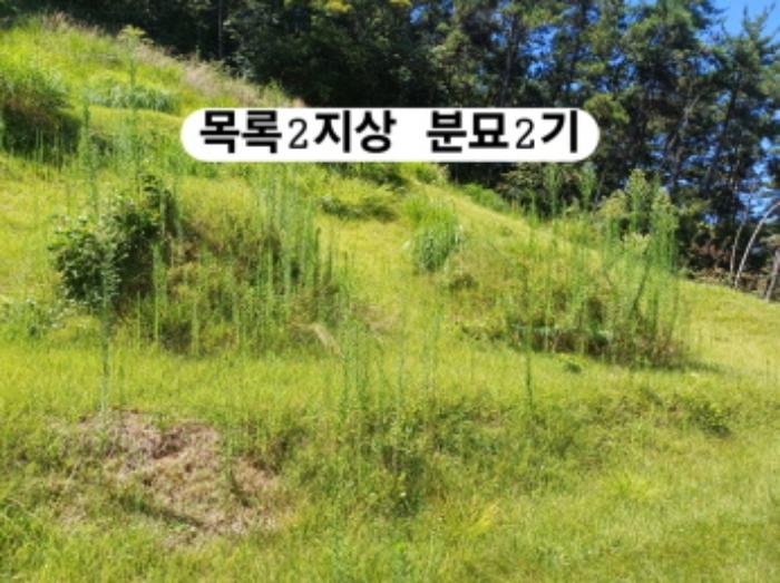 부산광역시 강서구 생곡동 산112 임야 경매 사진 16