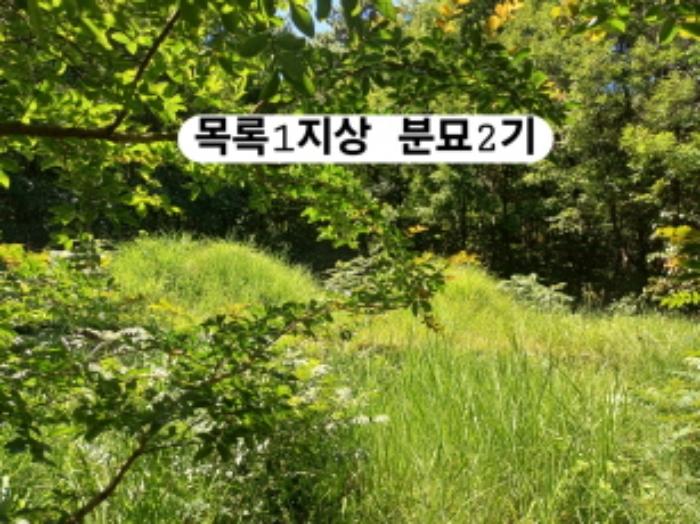 부산광역시 강서구 생곡동 산112 임야 경매 사진 18