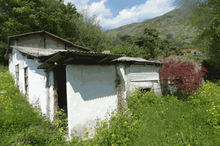 충청남도 논산시 상월면 상도리 460 답 경매 사진 12