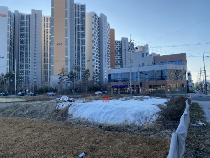 경상북도 영천시 완산동 504 답 경매 사진 5