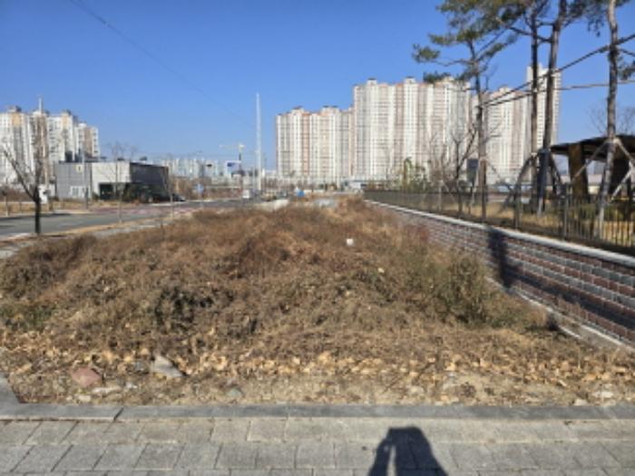 경상북도 영천시 완산동 504 답 경매 사진 7