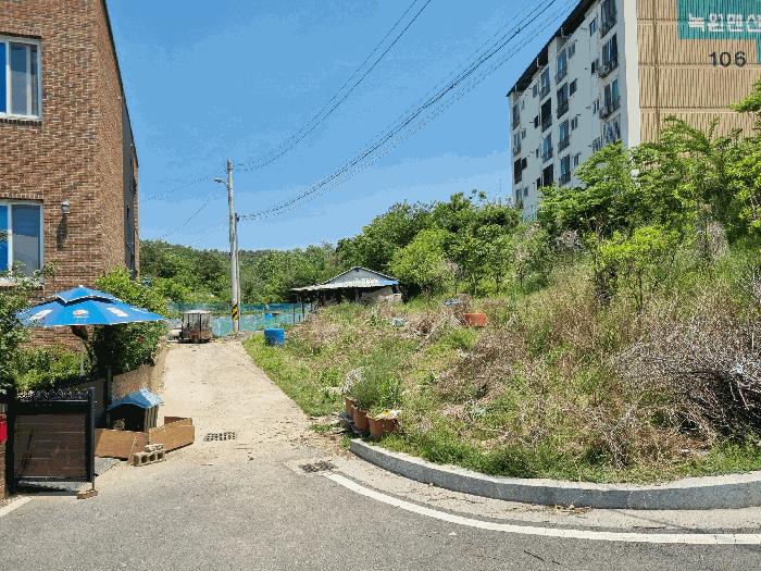 경상북도 영천시 화룡동 287-7 전 경매 사진 4