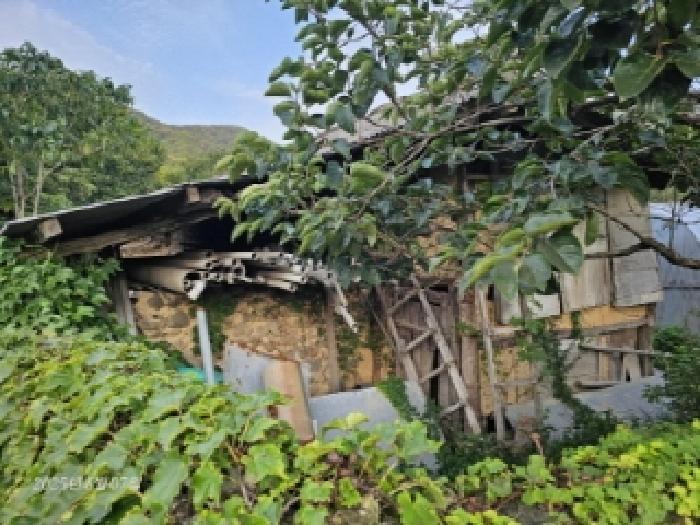 전북특별자치도 정읍시 칠보면 반곡리 99 주택 경매 사진 11