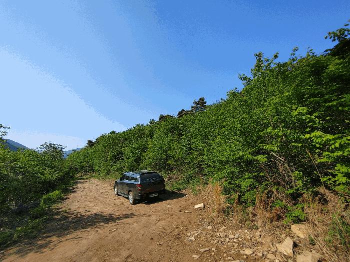 충청남도 논산시 벌곡면 한삼천리 395-7 임야 경매 사진 3